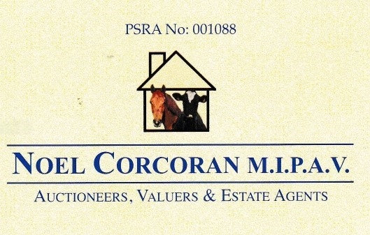 Noel Corcoran Auctioneers